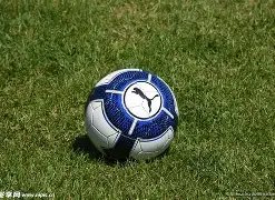 平博体育,产品,平博体育官网,平博体育官网,PINBO,Sports,足球直播,篮球赛事,体育高清,NBA直播