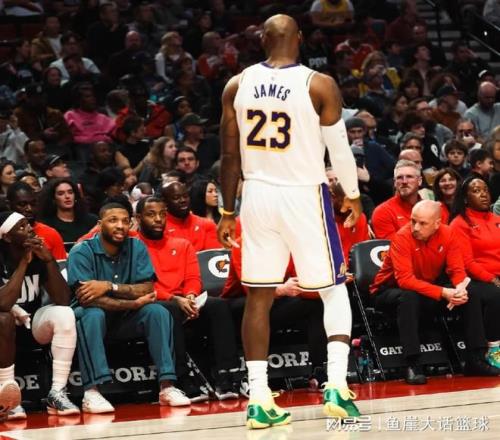 篮球盛宴,深度解析鹈,鹕与国王对,平博体育官网,PINBO,Sports,足球直播,篮球赛事,体育高清,NBA直播