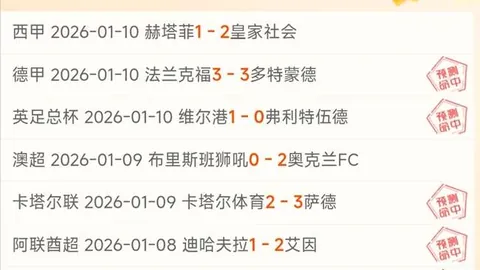 意甲第轮那不勒斯迎战米兰对决裁判揭晓：索扎将执法比赛